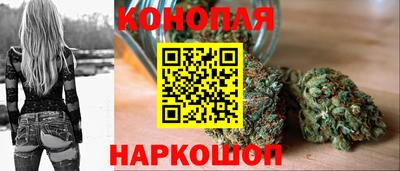 прущие грибы Шелехов